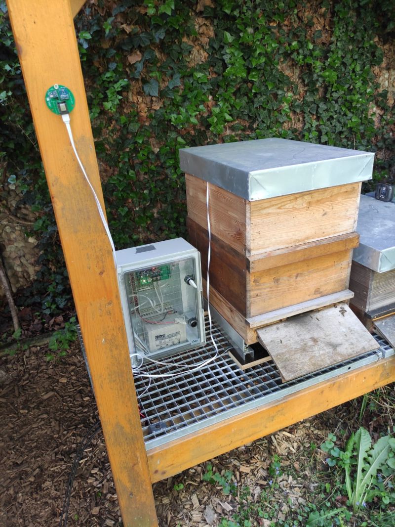 News-Beitrag mit Titel Technik trifft Natur: EmC² Saar e.V. bringt sensorgestützte Bienenstöcke an die Gemeinschaftsschule Theley 