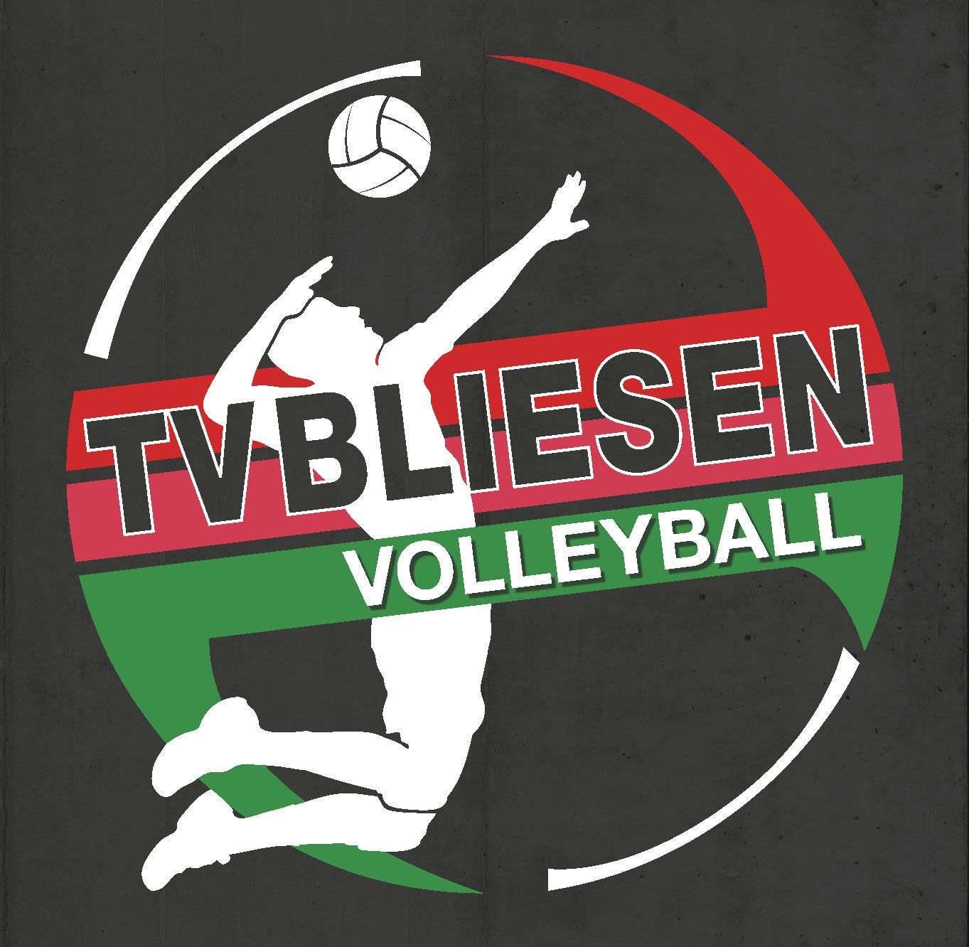Profilbild des Vereins Verein zur Förderung der Volleyballabteilung des TV Bliesen e.V.