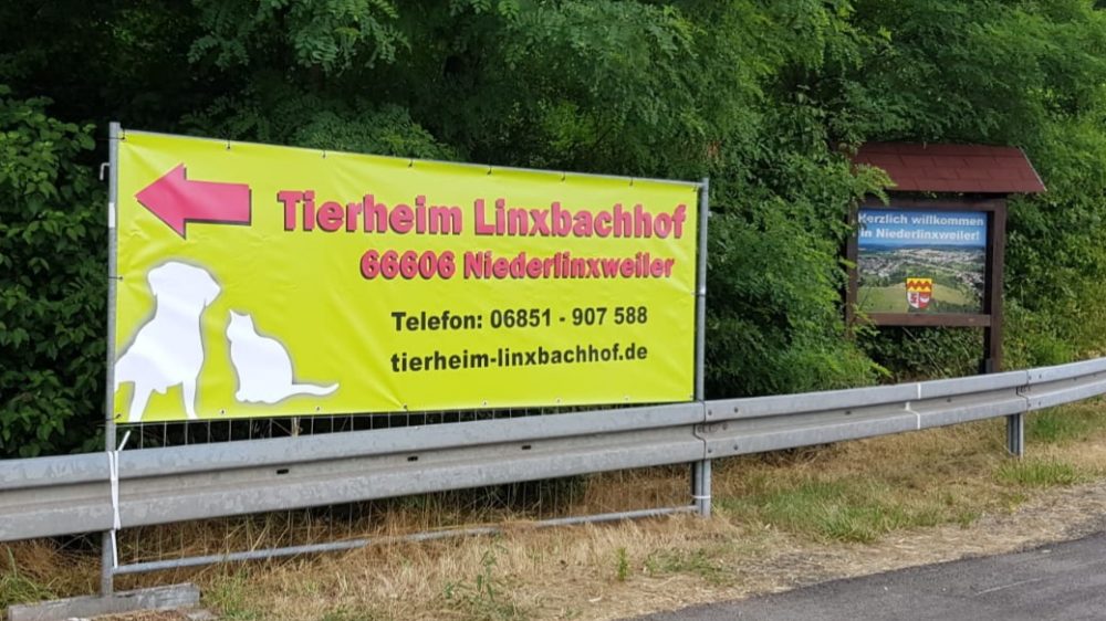 Symbolbild für den Beitrag Der Tierschutzverein Neunkirchen/Saar u. Umgebung e.V.
