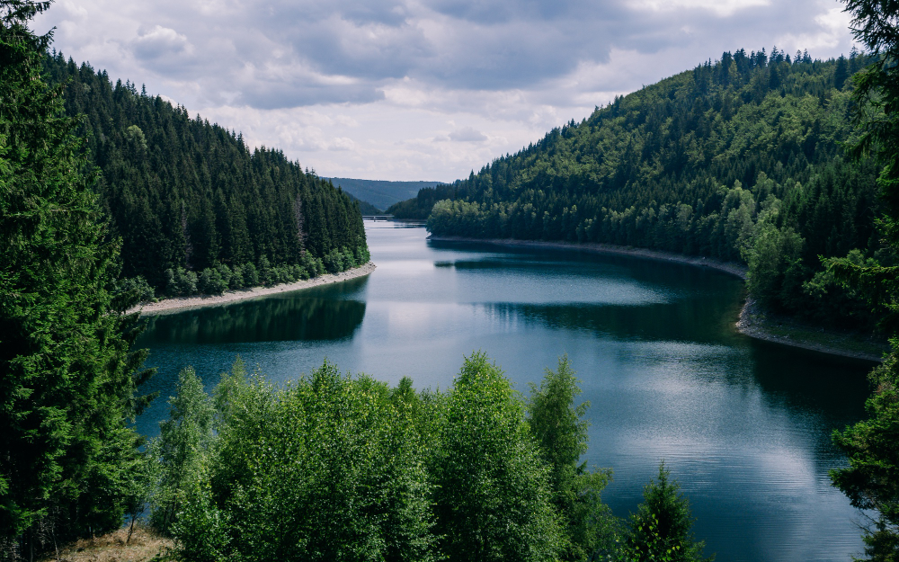 Förderdatenbankeintrag mit Titel BIS ZU 1.500 € FÜR KLIMA- UND NATURSCHUTZPROJEKTE!
